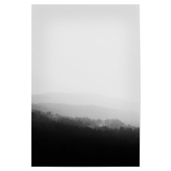 Poster 30x20 cm "Misty forest" artboxONE - Natur,Reise,Abstrakt,Reise / Länder - Wald,Black and white,Monochrome,Moody