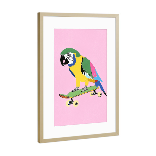 Poster mit Rahmen Gold "Papagei auf Skateboard" artboxONE - Tiere,Sport,Lustig