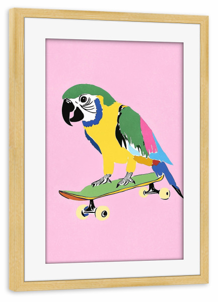 Poster mit Rahmen kiefer "Papagei auf Skateboard" artboxONE - Tiere,Sport,Lustig