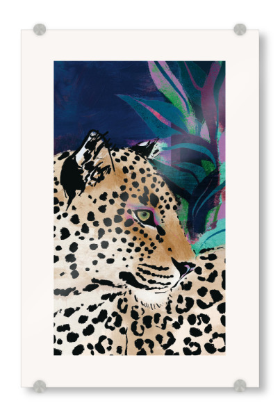 Acrylglasbild "Majestätischer Jaguar" artboxONE - Natur,Tiere