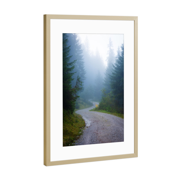 Poster mit Rahmen Gold "Herbstlicher Waldweg" artboxONE - Natur,Reise - Wald,Nebel,Herbst,Oktober,Nadelwald,Bäume,Alpen,Wildschönau,Tirol