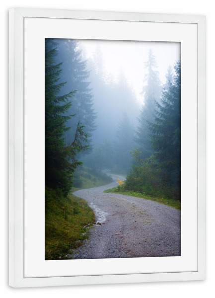Poster mit Rahmen weiß "Herbstlicher Waldweg" artboxONE - Natur,Reise - Wald,Nebel,Herbst,Oktober,Nadelwald,Bäume,Alpen,Wildschönau,Tirol