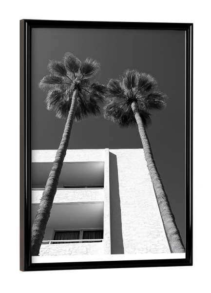Poster mit schwarzem Rahmen "Palm Sprigs Black and White" artboxONE - Typografie,Architektur,Reise / Länder
