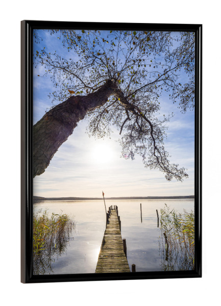 Poster mit schwarzem Rahmen "Steg und Baum am Plauer See" artboxONE - Natur,Reise