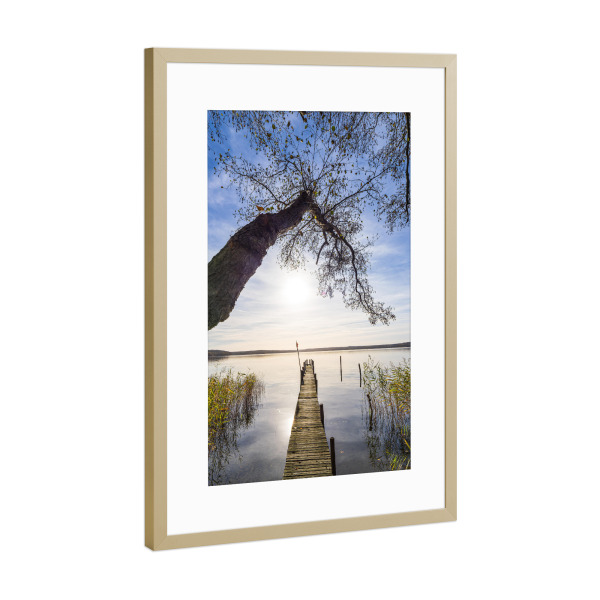 Poster mit Rahmen Gold "Steg und Baum am Plauer See" artboxONE - Natur,Reise