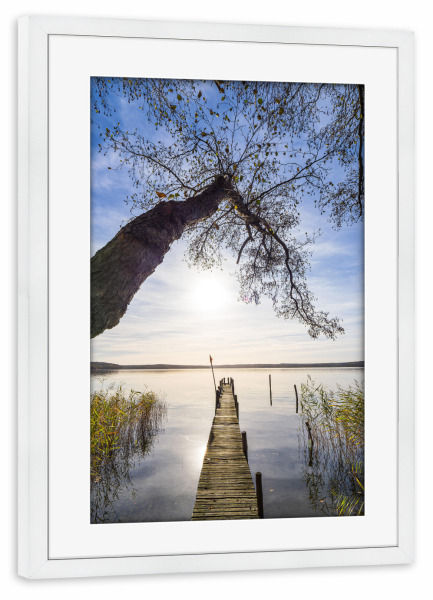 Poster mit Rahmen weiß "Steg und Baum am Plauer See" artboxONE - Natur,Reise