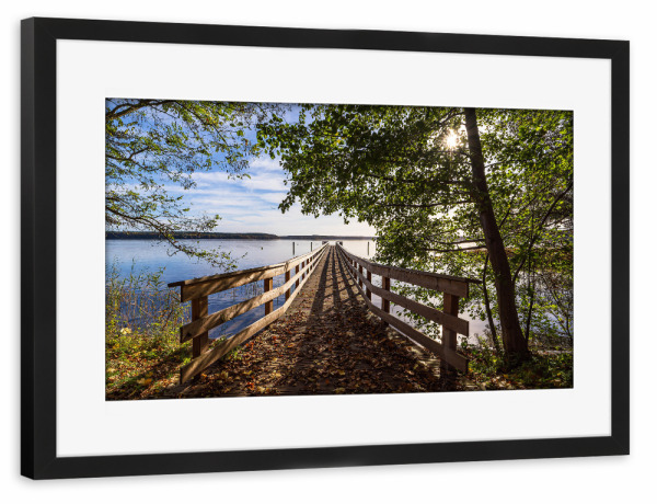 Poster mit Rahmen schwarz "Baum und Steg am Plauer See" artboxONE - Natur,Reise