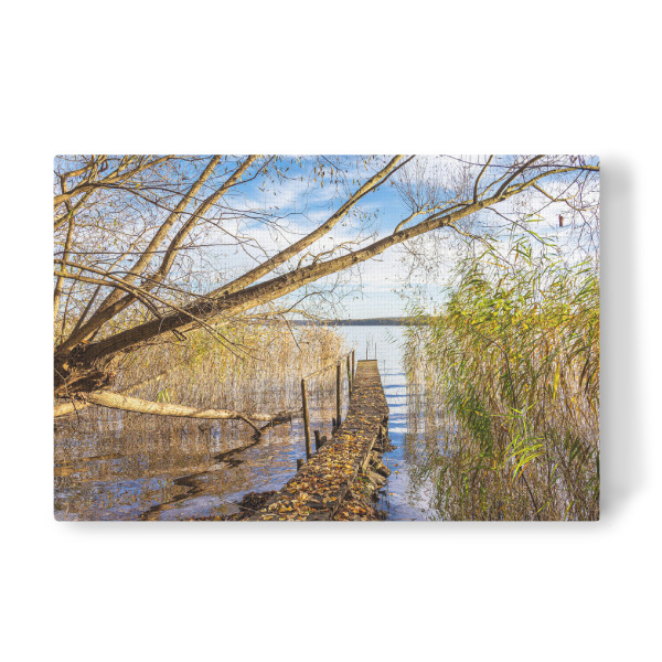 Leinwandbild "Steg, Schilf und Baum am See" artboxONE - Natur,Reise