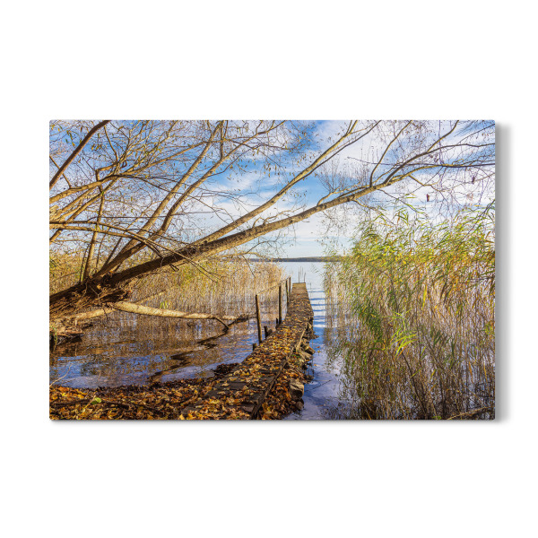 Galerie-Print "Steg, Schilf und Baum am See" 30x20 cm artboxONE