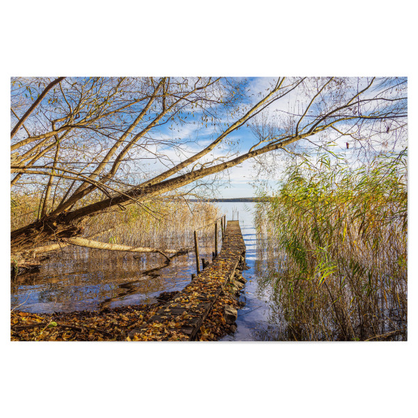 Poster "Steg, Schilf und Baum am See" artboxONE - Natur,Reise