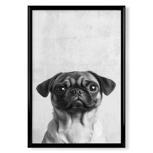 Milo der Mops
