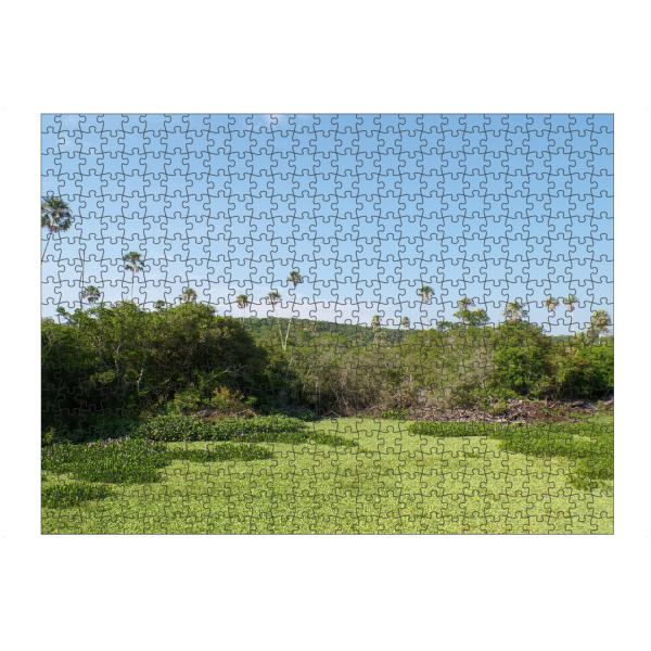 Puzzle Ravensburger "Swamp Landscape at South America" artboxONE - Natur,Reise,Reise / Länder