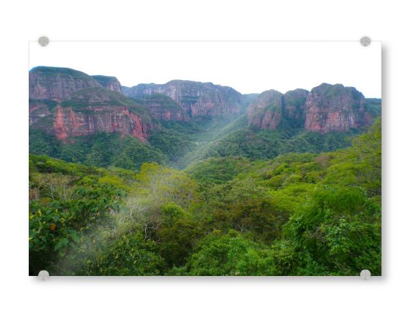 Acrylglasbild "Amboro Nationalpark, Amazonien" artboxONE - Natur,Reise,Reise / Länder