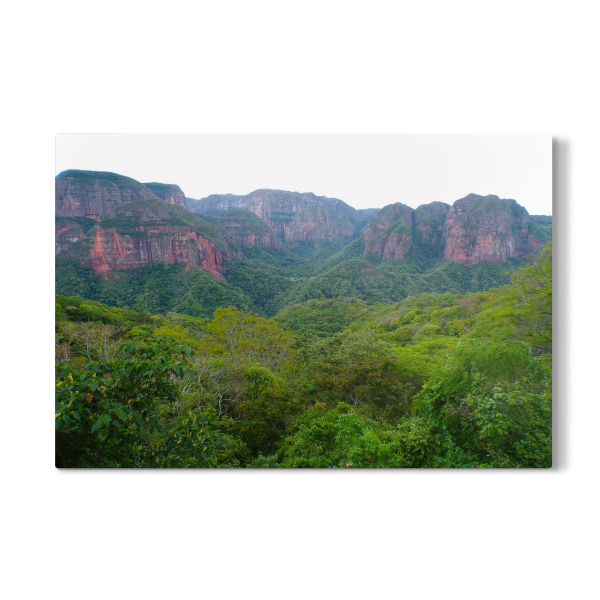 Galerie-Print "Amboro Nationalpark, Amazonien" 30x20 cm artboxONE