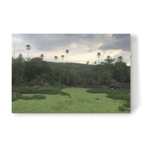 Leinwandbild "Ein Fluss in Südamerika" artboxONE - Natur,Reise,Reise / Länder