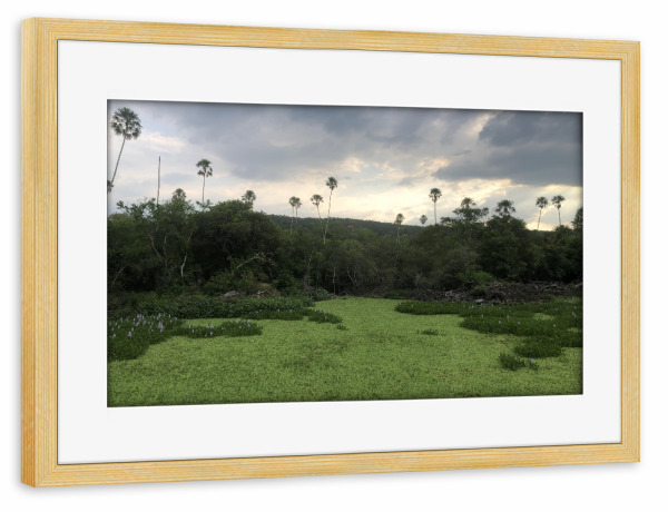 Poster mit Rahmen kiefer "Ein Fluss in Südamerika" artboxONE - Natur,Reise,Reise / Länder