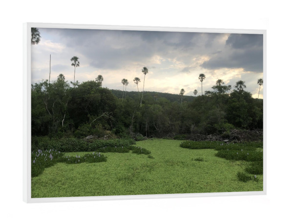 Poster mit weißem Rahmen "Ein Fluss in Südamerika" artboxONE - Natur,Reise,Reise / Länder