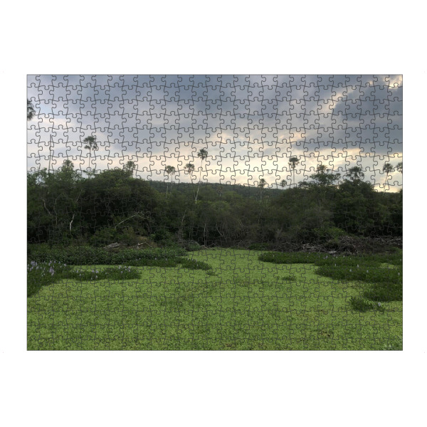 Puzzle Ravensburger "Ein Fluss in Südamerika" artboxONE - Natur,Reise,Reise / Länder