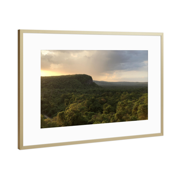 Poster mit Rahmen Gold "Der Dschungel" artboxONE - Natur,Reise,Reise / Länder