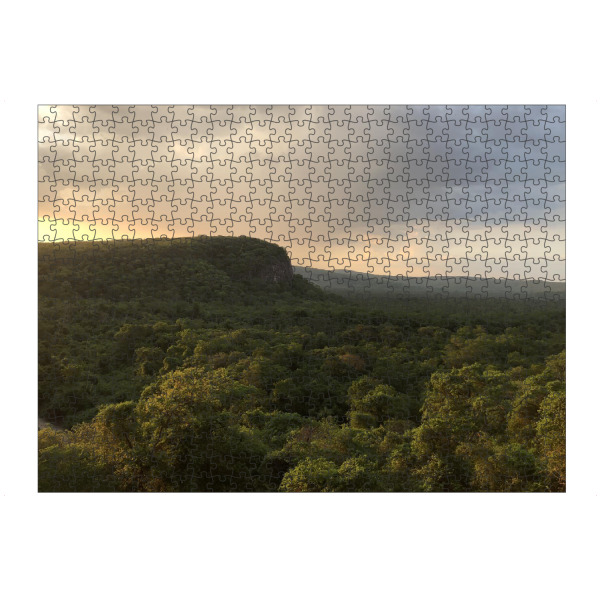 artboxONE Puzzle "Der Dschungel" artboxONE - Natur,Reise,Reise / Länder