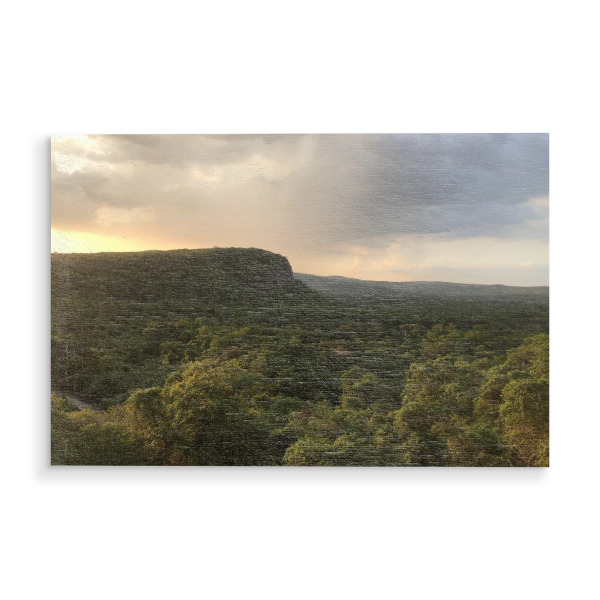 Holzbild "Der Dschungel" artboxONE - Natur,Reise,Reise / Länder