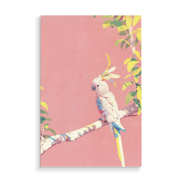 Holzbild "Exotischer Kakadu Sunny" artboxONE - Natur,Floral,Tiere