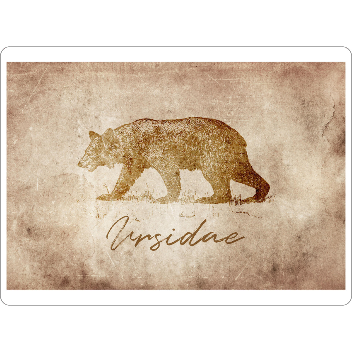 Tischset "Bear vintage" artboxONE - Tiere - Bear,Bär,Bären,Bears,Grizzly,Schwarzbär,Vintage,Retro,Alt,Rustikal,Rustic,Tier,Tiere,Animal,Animals