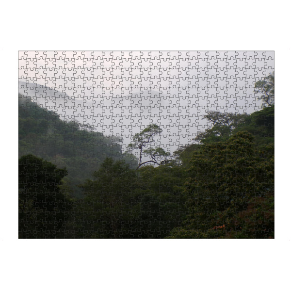 artboxONE Puzzle "Nebel im Regenwald" artboxONE - Natur,Reise,Reise / Länder