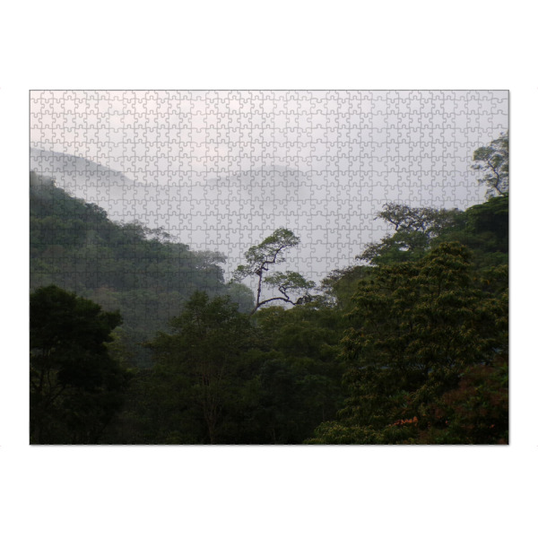 Puzzle Ravensburger "Nebel im Regenwald" artboxONE - Natur,Reise,Reise / Länder