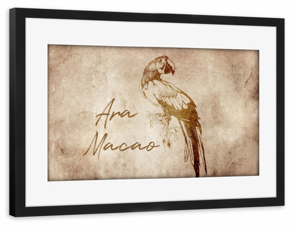 Poster mit Rahmen schwarz "Ara vintage" artboxONE - Tiere