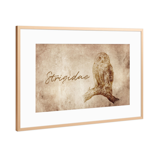 Poster mit Rahmen Kupfer "Owl vintage" artboxONE - Tiere