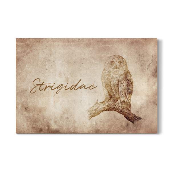 Galerie-Print "Owl vintage" 30x20 cm artboxONE