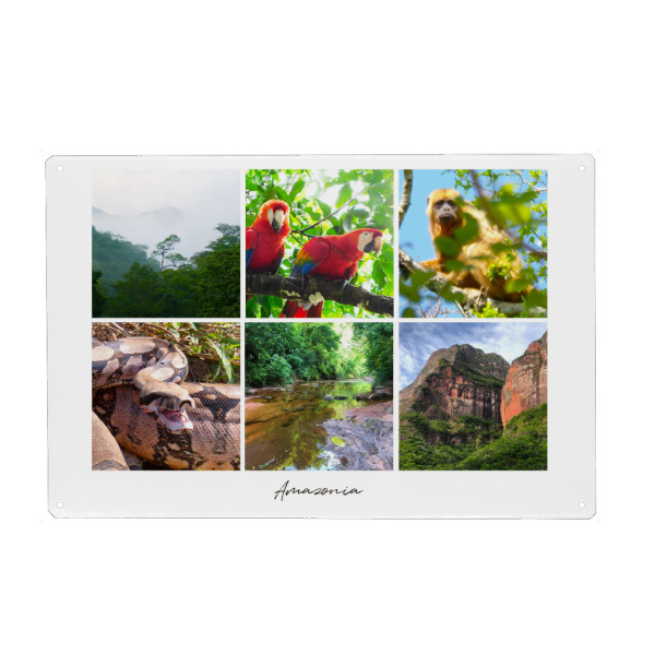 Holzbild "Amazonia Collage" artboxONE - Natur,Reise,Tiere,Reise / Länder