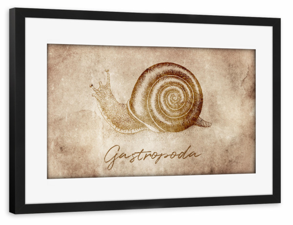 Poster mit Rahmen schwarz "Snail vintage" artboxONE - Tiere