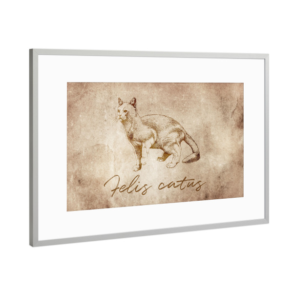 Poster mit Rahmen Silber "Cat vintage" artboxONE - Tiere - Cat,Vintage,Katze,Kater,Hsuskatze,Retro,Alt,Rustikal,Rustic,Tier,Tiere,Animal,Animals