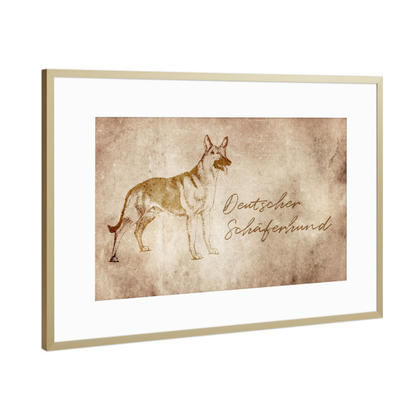 Poster mit Rahmen Gold "Schäferhund vintage" artboxONE - Tiere