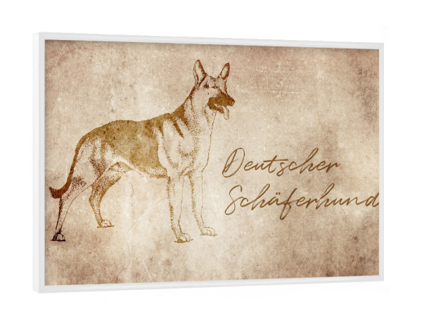 Poster mit weißem Rahmen "Schäferhund vintage" artboxONE - Tiere