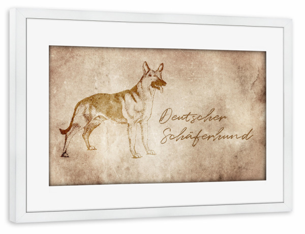 Poster mit Rahmen weiß "Schäferhund vintage" artboxONE - Tiere