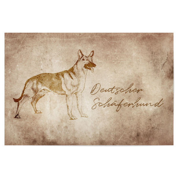 Poster 30x20 cm "Schäferhund vintage" artboxONE - Tiere