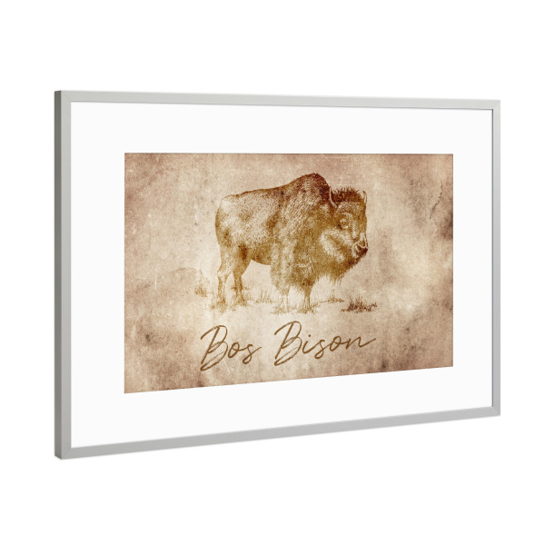 Poster mit Rahmen Silber "Bison vintage" artboxONE - Tiere