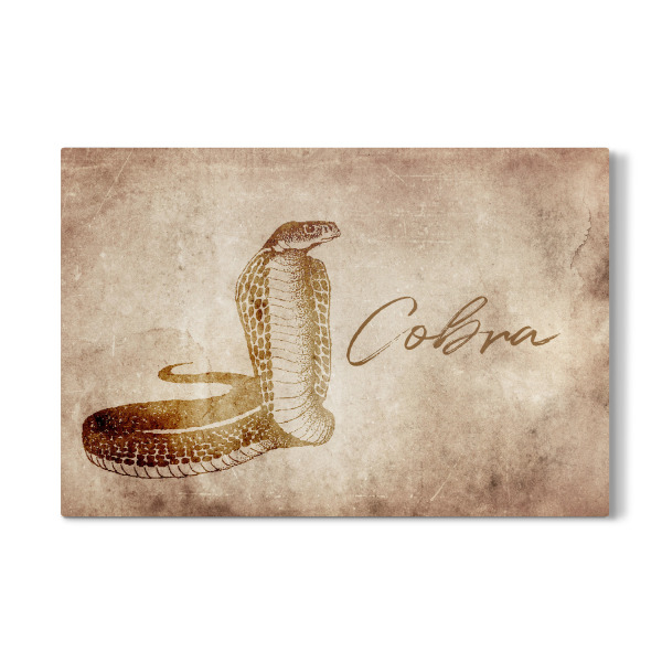 Galerie-Print "Cobra vintage" 30x20 cm artboxONE