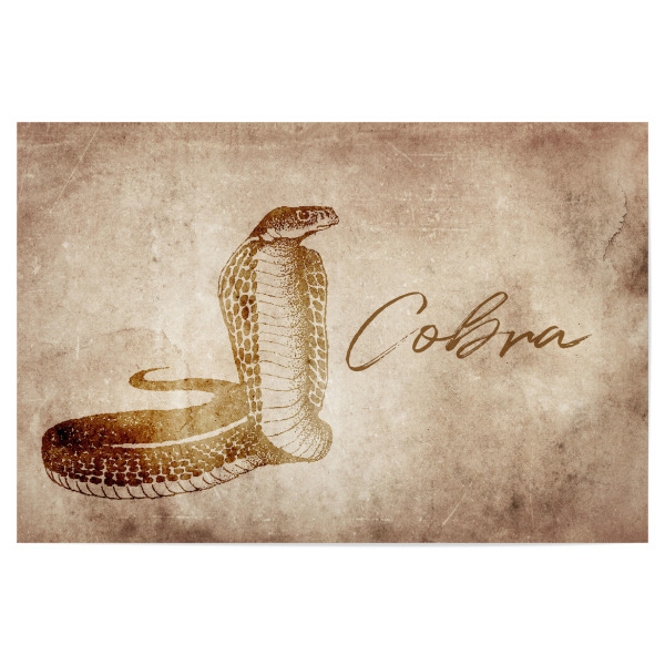 Poster "Cobra vintage" artboxONE - Tiere