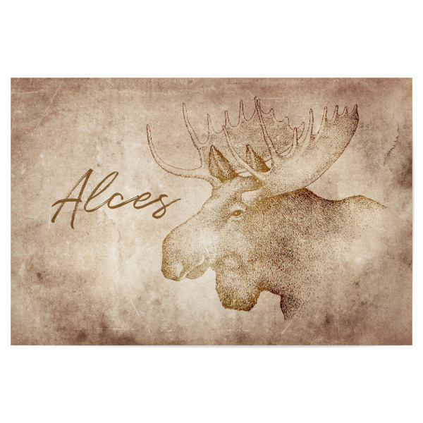 Poster 30x20 cm "Moose vintage" artboxONE - Tiere - Elch,Moose,Hirsch,Kanada,Canada,Vintage,Retro,Alt,Rustikal,Rustic,Tier,Tiere,Animal,Animals,Usa