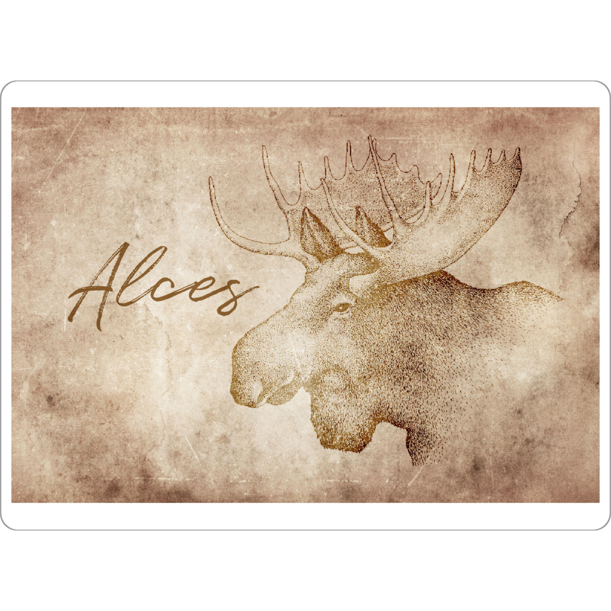 Tischset "Moose vintage" artboxONE - Tiere - Elch,Moose,Hirsch,Kanada,Canada,Vintage,Retro,Alt,Rustikal,Rustic,Tier,Tiere,Animal,Animals,Usa
