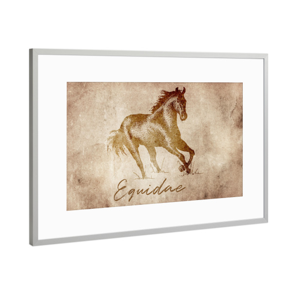 Poster mit Rahmen Silber "Horse vintage" artboxONE - Tiere