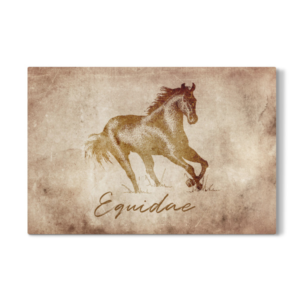 Galerie-Print "Horse vintage" 30x20 cm artboxONE