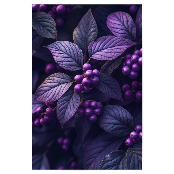 Poster "Lila Beerenzauber" artboxONE - Natur,Ultraviolet,Essen & Trinken / Obst & Gemüse
