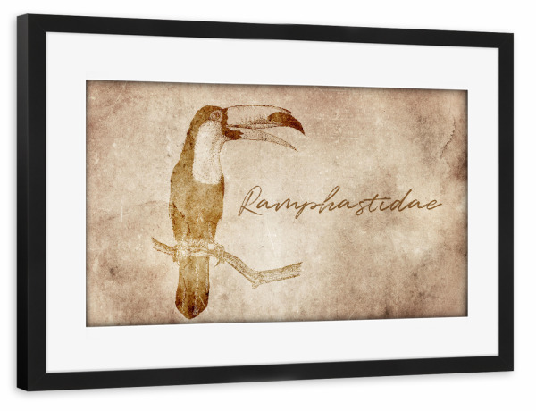 Poster mit Rahmen schwarz "Tukan vintage" artboxONE - Tiere