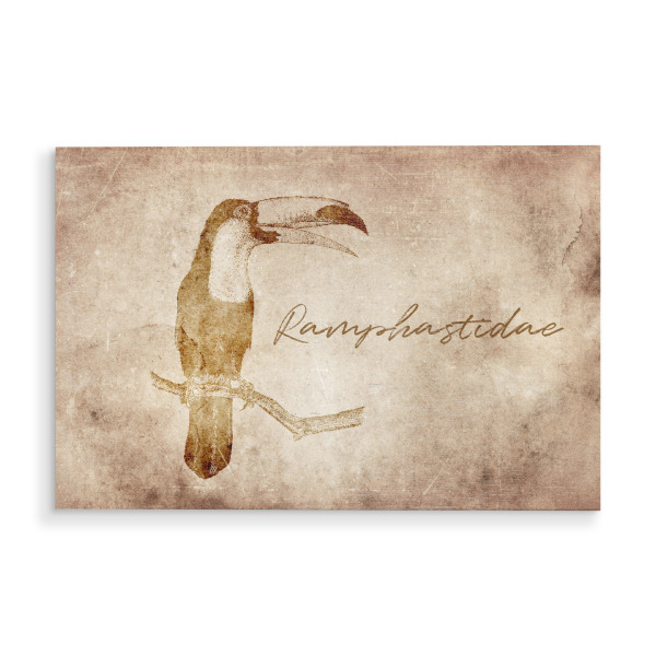 Holzbild "Tukan vintage" artboxONE - Tiere - Tukan,Toucan,Vintage,Retro,Alt,Rustikal,Rustic,Tier,Tiere,Animal,Animals,Bird,Birds,Vogel vögel