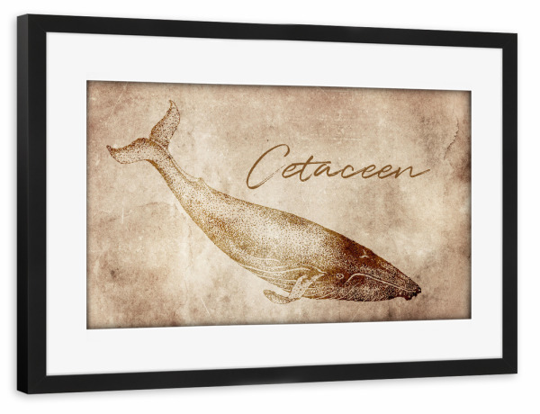 Poster mit Rahmen schwarz "Wal vintage" artboxONE - Tiere